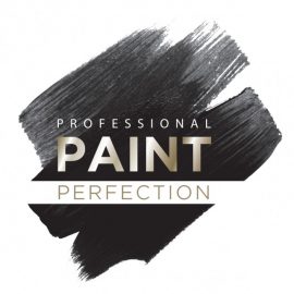 Professional Paint Perfection, Logo, Business in Networking Group
